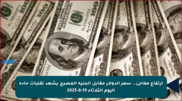 ارتفاع مفاجئ.. سعر الدولار مقابل الجنيه المصري يشهد تقلبات حادة اليوم الثلاثاء 19-8-2025